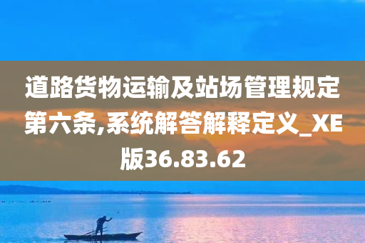 道路货物运输及站场管理规定第六条,系统解答解释定义_XE版36.83.62