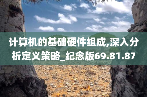 计算机的基础硬件组成,深入分析定义策略_纪念版69.81.87