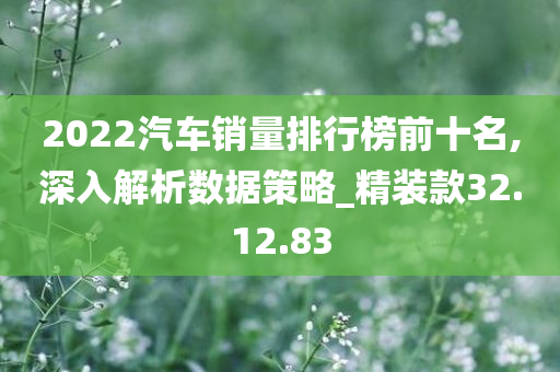 2022汽车销量排行榜前十名,深入解析数据策略_精装款32.12.83