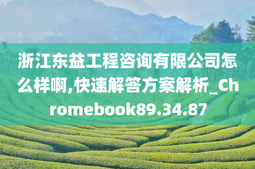 浙江东益工程咨询有限公司怎么样啊,快速解答方案解析_Chromebook89.34.87