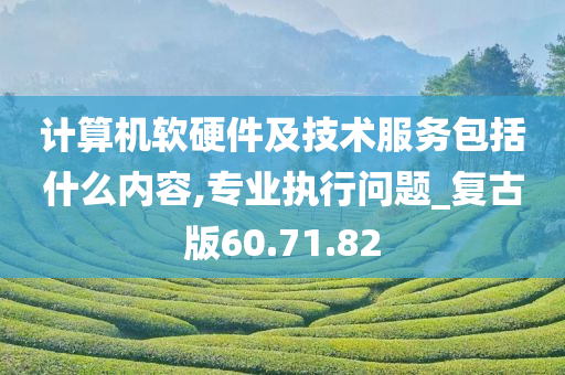 计算机软硬件及技术服务包括什么内容,专业执行问题_复古版60.71.82