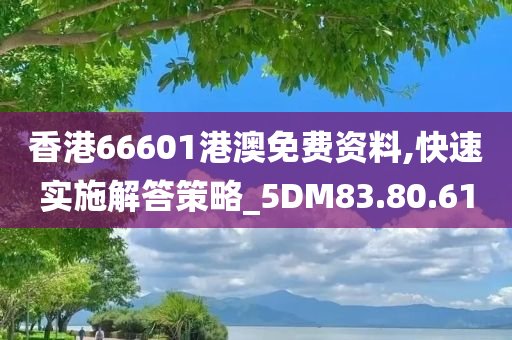 香港66601港澳免费资料,快速实施解答策略_5DM83.80.61