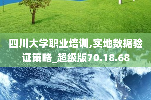 四川大学职业培训,实地数据验证策略_超级版70.18.68