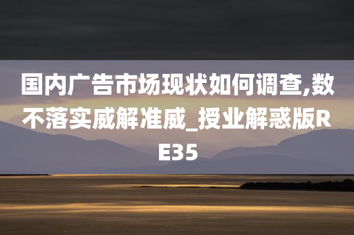 国内广告市场现状如何调查,数不落实威解准威_授业解惑版RE35