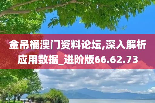 金吊桶澳门资料论坛,深入解析应用数据_进阶版66.62.73