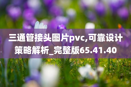 三通管接头图片pvc,可靠设计策略解析_完整版65.41.40