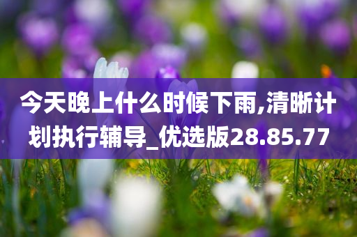 今天晚上什么时候下雨,清晰计划执行辅导_优选版28.85.77