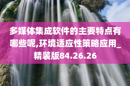 多媒体集成软件的主要特点有哪些呢,环境适应性策略应用_精装版84.26.26