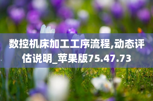 数控机床加工工序流程,动态评估说明_苹果版75.47.73