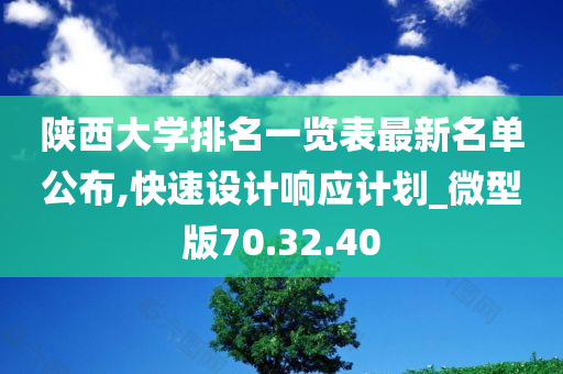 陕西大学排名一览表最新名单公布,快速设计响应计划_微型版70.32.40