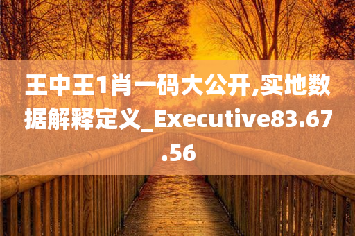 王中王1肖一码大公开,实地数据解释定义_Executive83.67.56