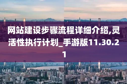 网站建设步骤流程详细介绍,灵活性执行计划_手游版11.30.21