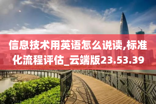 信息技术用英语怎么说读,标准化流程评估_云端版23.53.39