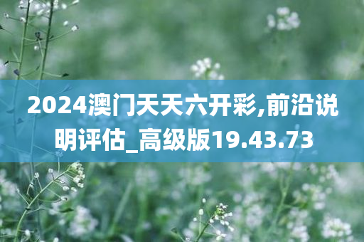 2024澳门天天六开彩,前沿说明评估_高级版19.43.73