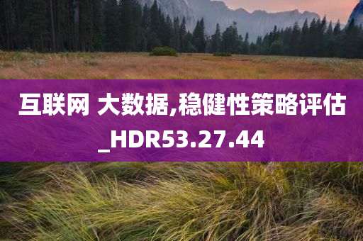 互联网 大数据,稳健性策略评估_HDR53.27.44