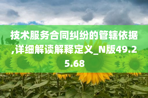 技术服务合同纠纷的管辖依据,详细解读解释定义_N版49.25.68