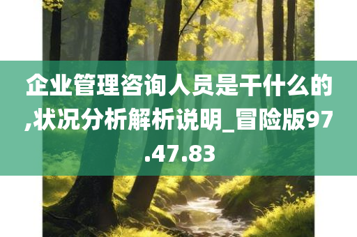 企业管理咨询人员是干什么的,状况分析解析说明_冒险版97.47.83