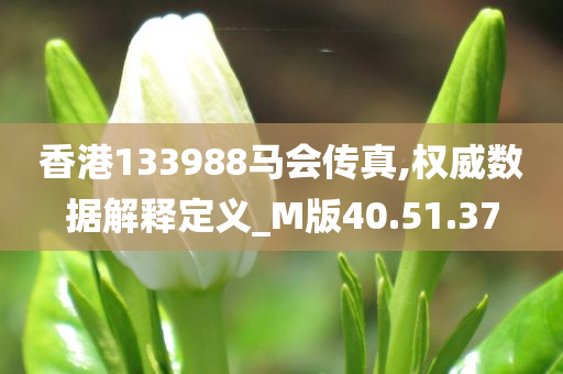 香港133988马会传真,权威数据解释定义_M版40.51.37