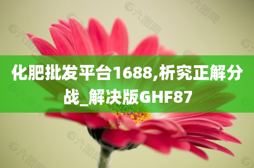 化肥批发平台1688,析究正解分战_解决版GHF87