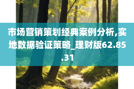 市场营销策划经典案例分析,实地数据验证策略_理财版62.85.31