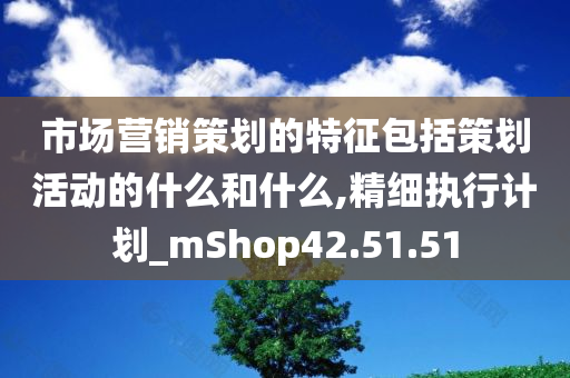 市场营销策划的特征包括策划活动的什么和什么,精细执行计划_mShop42.51.51