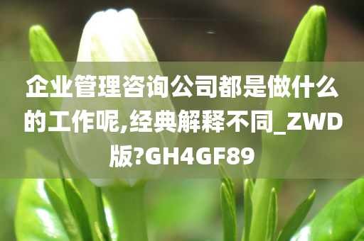 企业管理咨询公司都是做什么的工作呢,经典解释不同_ZWD版?GH4GF89