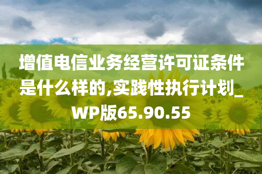 增值电信业务经营许可证条件是什么样的,实践性执行计划_WP版65.90.55