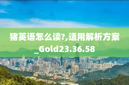 猪英语怎么读?,适用解析方案_Gold23.36.58