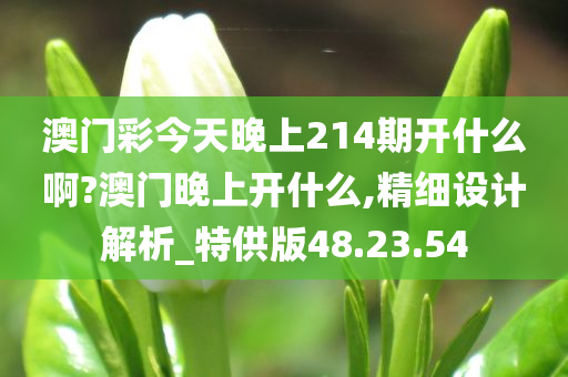 澳门彩今天晚上214期开什么啊?澳门晚上开什么,精细设计解析_特供版48.23.54