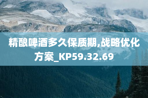 精酿啤酒多久保质期,战略优化方案_KP59.32.69