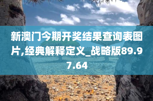 新澳门今期开奖结果查询表图片,经典解释定义_战略版89.97.64