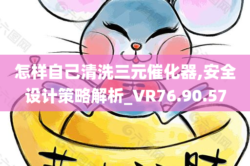 怎样自己清洗三元催化器,安全设计策略解析_VR76.90.57