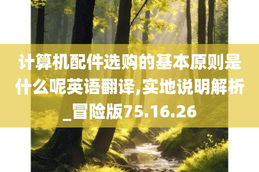 计算机配件选购的基本原则是什么呢英语翻译,实地说明解析_冒险版75.16.26