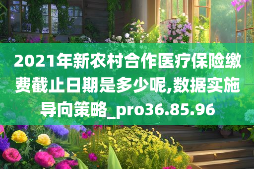 2021年新农村合作医疗保险缴费截止日期是多少呢,数据实施导向策略_pro36.85.96