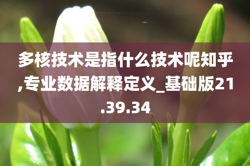 多核技术是指什么技术呢知乎,专业数据解释定义_基础版21.39.34