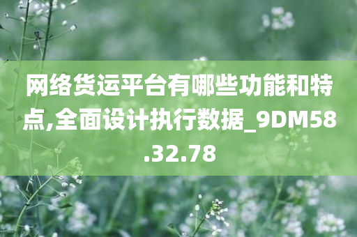 网络货运平台有哪些功能和特点,全面设计执行数据_9DM58.32.78