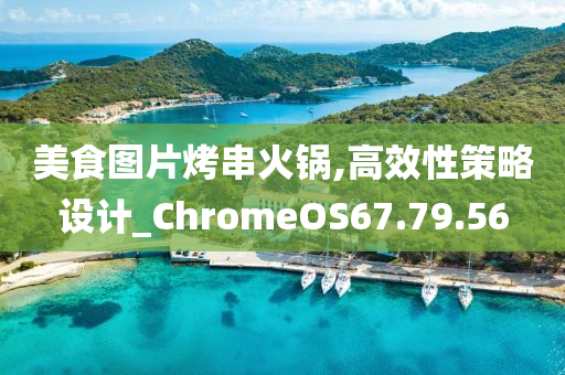 美食图片烤串火锅,高效性策略设计_ChromeOS67.79.56