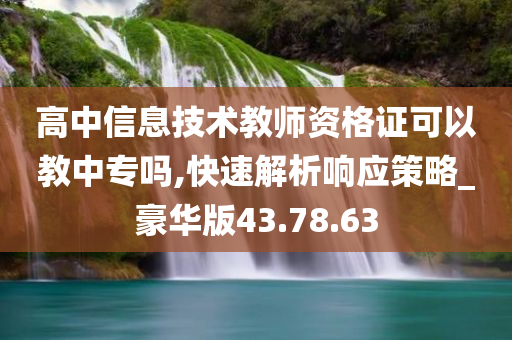 高中信息技术教师资格证可以教中专吗,快速解析响应策略_豪华版43.78.63