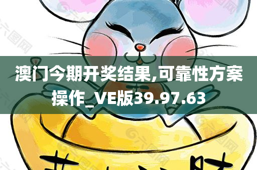 澳门今期开奖结果,可靠性方案操作_VE版39.97.63