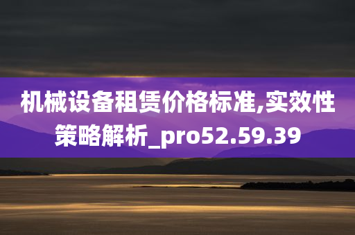 机械设备租赁价格标准,实效性策略解析_pro52.59.39