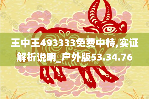 王中王493333免费中特,实证解析说明_户外版53.34.76