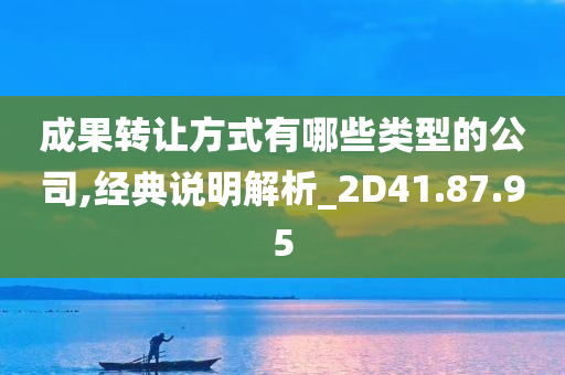 成果转让方式有哪些类型的公司,经典说明解析_2D41.87.95