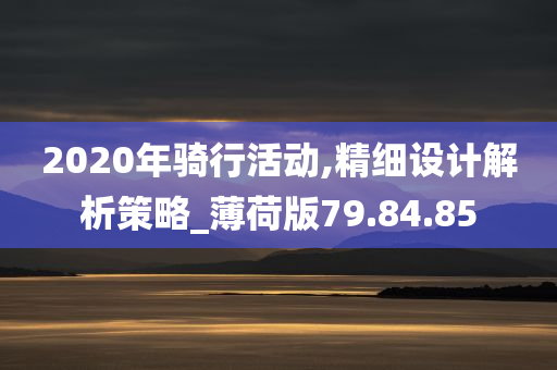 2020年骑行活动,精细设计解析策略_薄荷版79.84.85