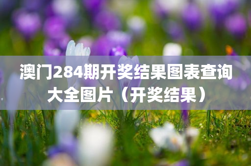 澳门284期开奖结果图表查询大全图片（开奖结果）