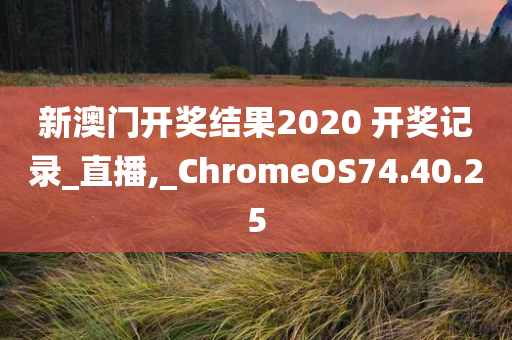 新澳门开奖结果2020 开奖记录_直播,_ChromeOS74.40.25