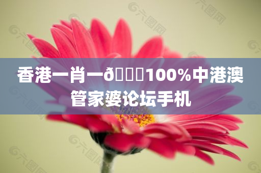 香港一肖一🐎100%中港澳管家婆论坛手机