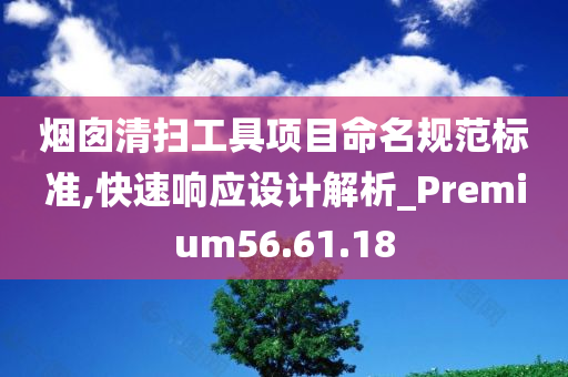 烟囱清扫工具项目命名规范标准,快速响应设计解析_Premium56.61.18