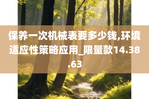 保养一次机械表要多少钱,环境适应性策略应用_限量款14.38.63