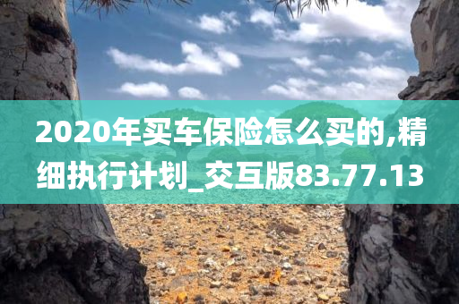 2020年买车保险怎么买的,精细执行计划_交互版83.77.13