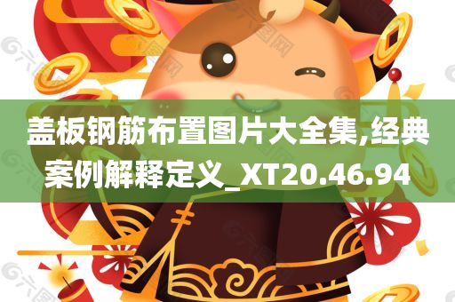 盖板钢筋布置图片大全集,经典案例解释定义_XT20.46.94